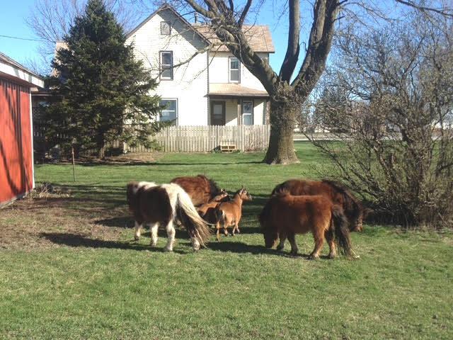 597 County Road 100 E, Ivesdale, IL 61851 - photo 51