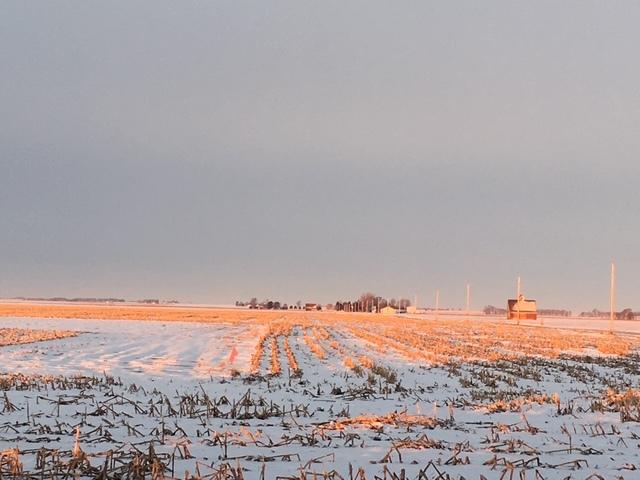 597 County Road 100 E, Ivesdale, IL 61851 - photo 57