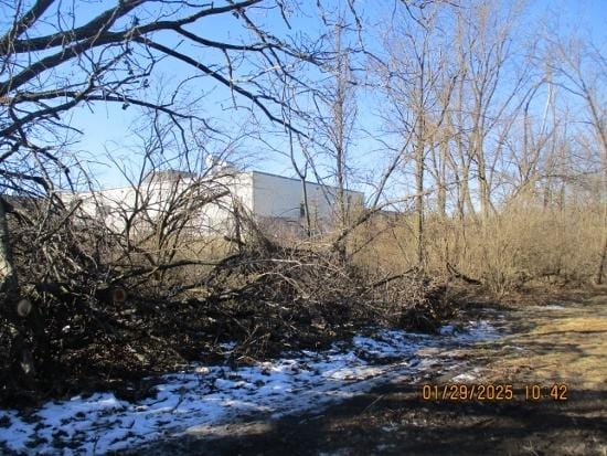 125 N Anderson Rd, New Lenox, IL 60451 - view of landscape