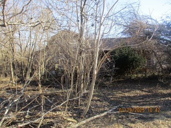 125 N Anderson Rd, New Lenox, IL 60451 - view of nature