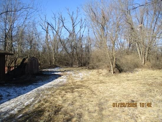 125 N Anderson Rd, New Lenox, IL 60451 - view of yard featuring an outbuilding and a storage unit