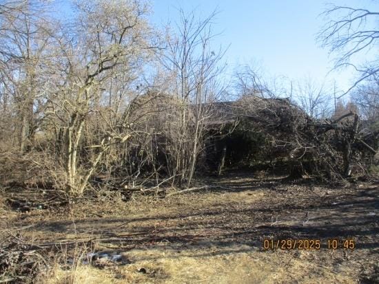 125 N Anderson Rd, New Lenox, IL 60451 - view of local wilderness