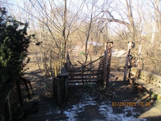 125 N Anderson Rd, New Lenox, IL 60451 - exterior space