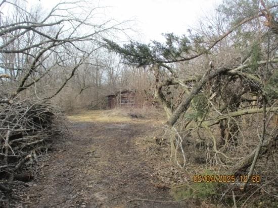 125 N Anderson Rd, New Lenox, IL 60451 - view of landscape
