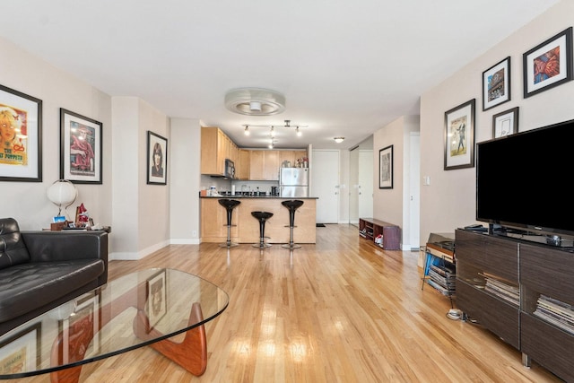 living room featuring light wood-type flooring