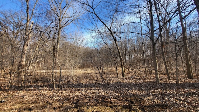 Listing photo 2 for LOT8 Crane Rd, Saint Charles IL 60175