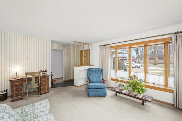 sitting room featuring carpet