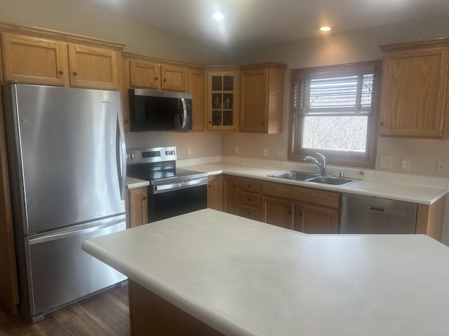 kitchen featuring dark hardwood / wood-style flooring, sink, and appliances with stainless steel finishes