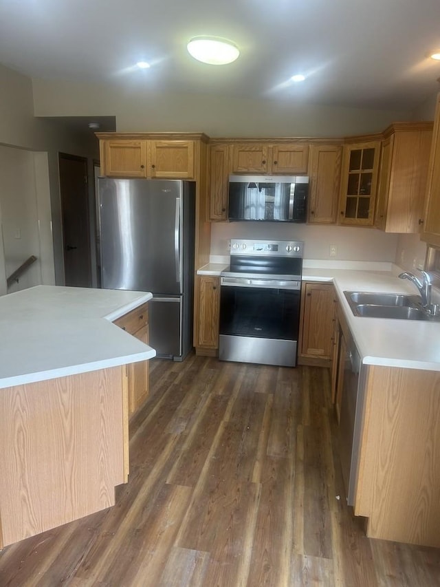 kitchen featuring stainless steel appliances, dark hardwood / wood-style flooring, a center island, and sink