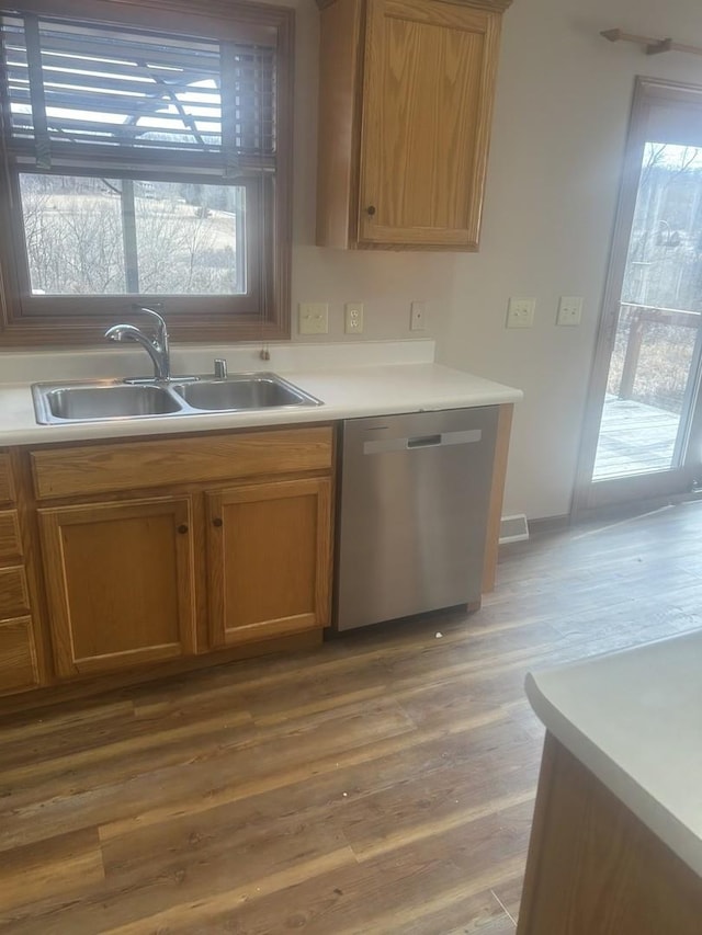 kitchen with wood-type flooring, plenty of natural light, sink, and stainless steel dishwasher