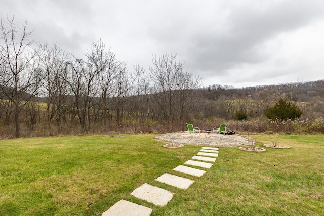 view of yard with a fire pit and a patio