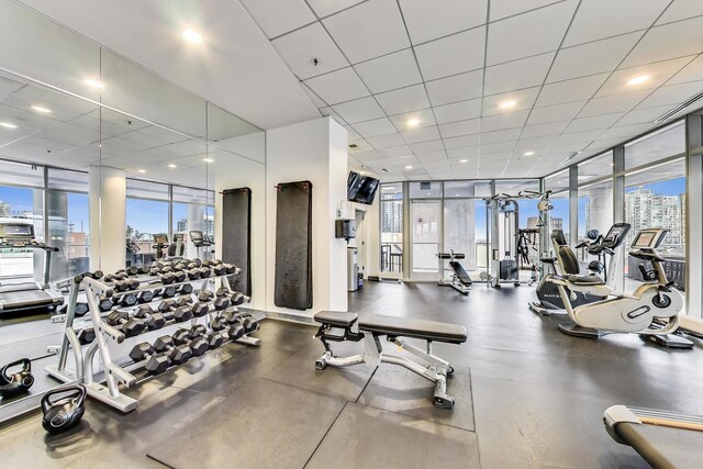 exercise room featuring plenty of natural light, floor to ceiling windows, and a paneled ceiling