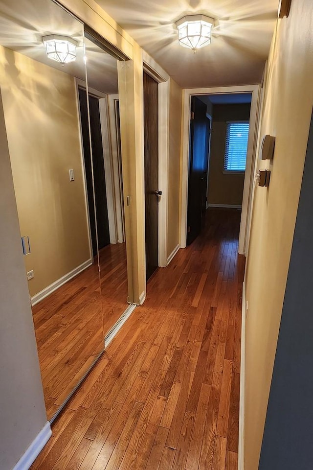 hallway featuring hardwood / wood-style flooring