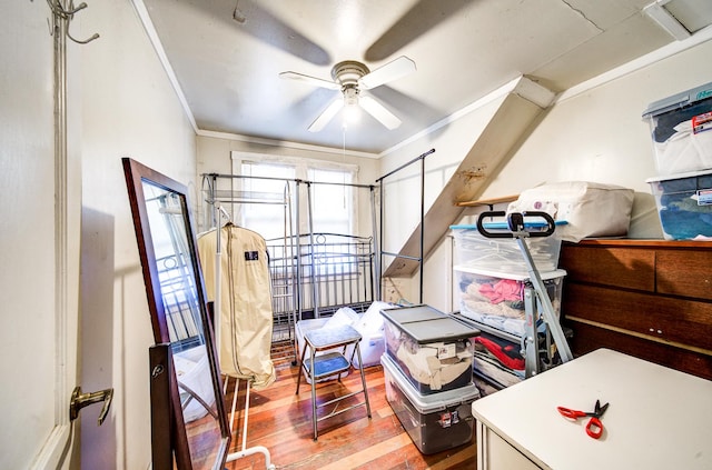 bedroom featuring crown molding, ceiling fan, and wood-type flooring