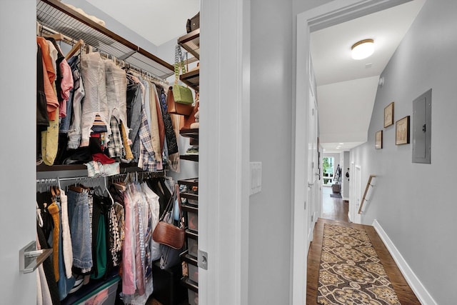 spacious closet featuring electric panel and wood finished floors