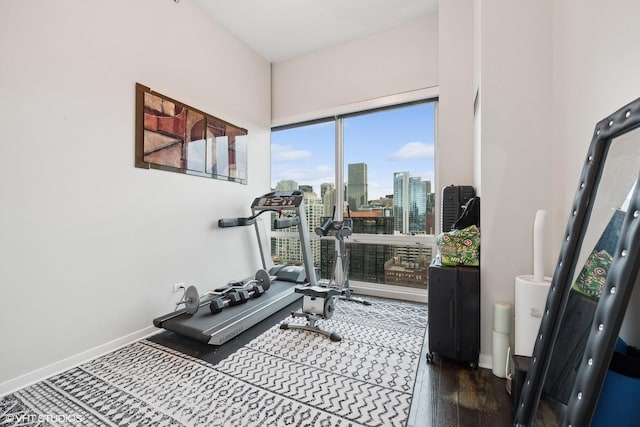 exercise room featuring dark wood-type flooring