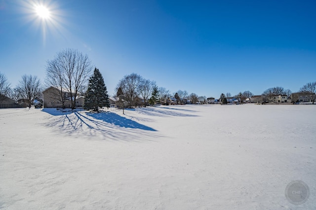 view of snowy yard