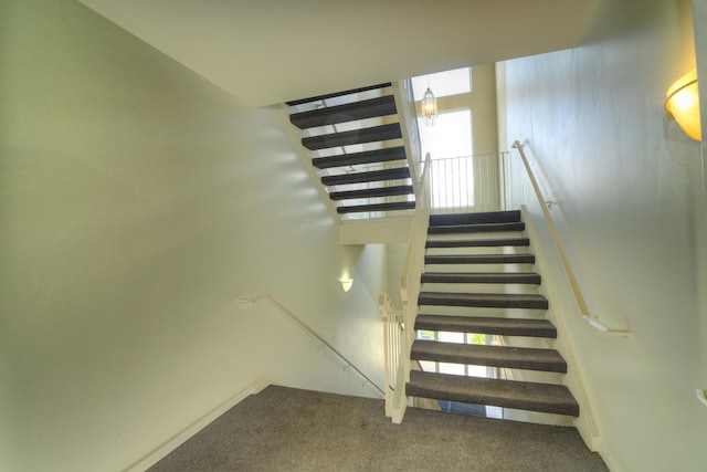 stairs featuring carpet flooring