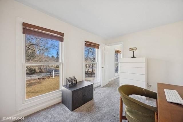 interior space featuring a healthy amount of sunlight and carpet floors