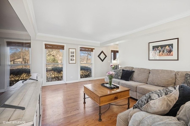 living room with baseboards, wood finished floors, and crown molding