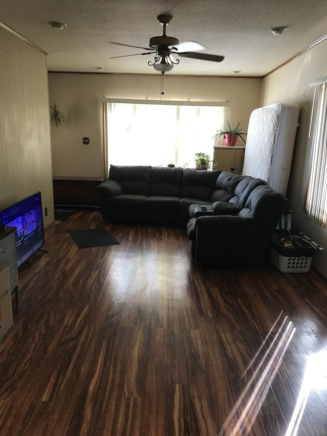 living room featuring ceiling fan, dark hardwood / wood-style flooring, and a textured ceiling