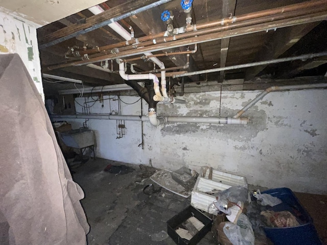 basement with sink