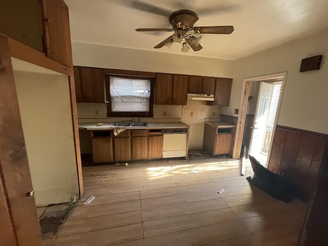 kitchen featuring ceiling fan, sink, dishwasher, and light hardwood / wood-style floors