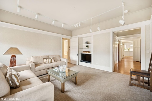 living room featuring light carpet, built in shelves, and rail lighting