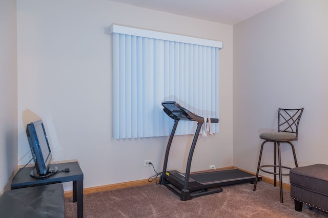 workout area featuring carpet floors