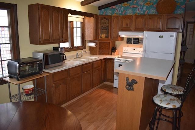 1407 Country Club Ln, Loda, IL 60948 - kitchen with a breakfast bar, white appliances, light wood-style floors, extractor fan, and a sink