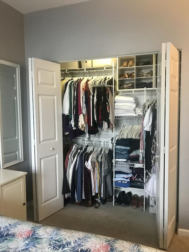 view of closet