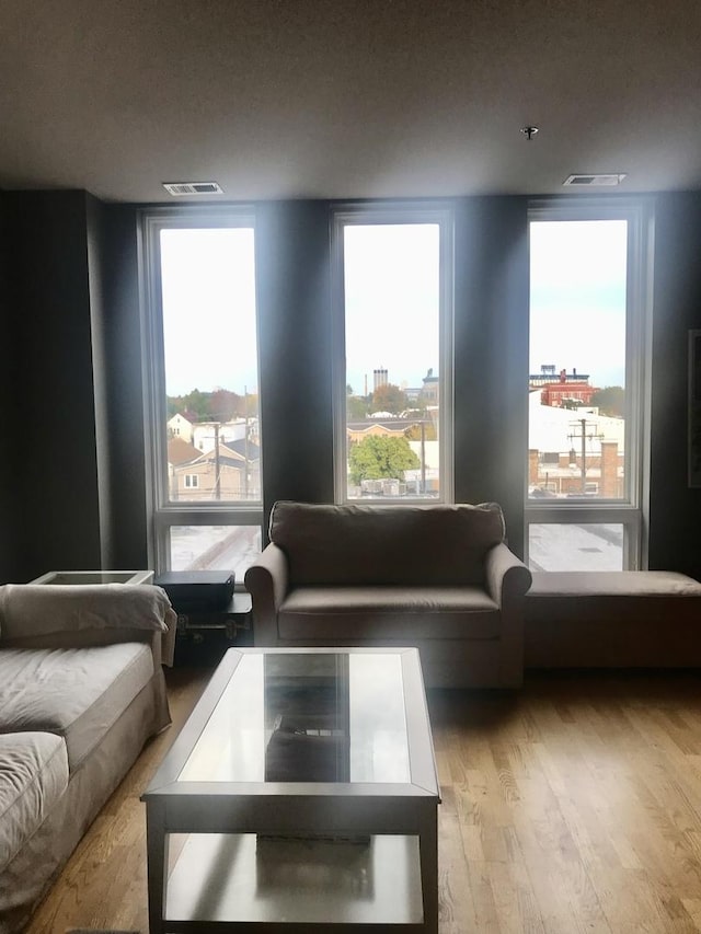 living room with a healthy amount of sunlight and light wood-type flooring