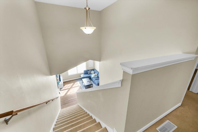 staircase featuring carpet floors