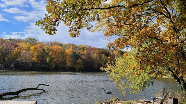 property view of water with a wooded view