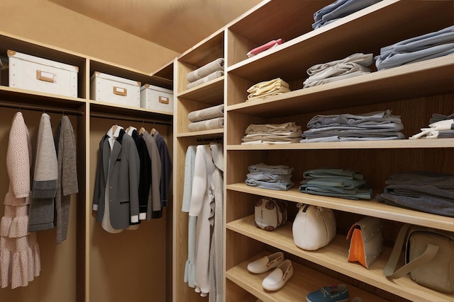 view of spacious closet