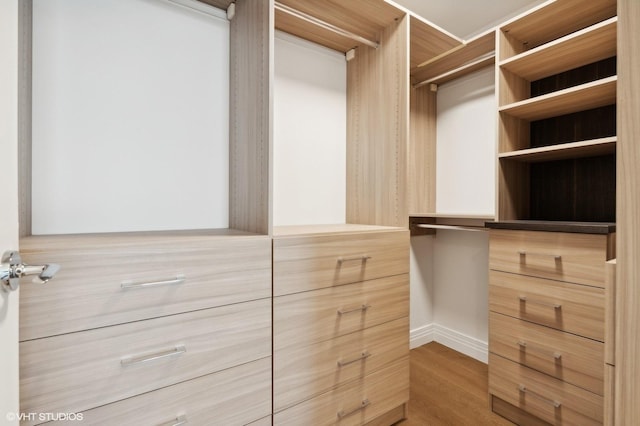 spacious closet featuring wood-type flooring