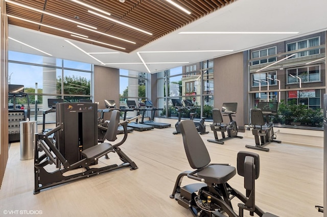 gym with hardwood / wood-style flooring, floor to ceiling windows, and a healthy amount of sunlight