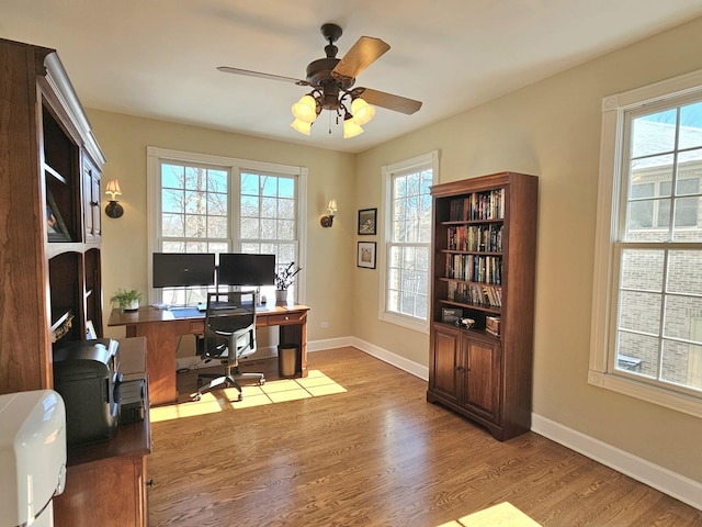 office space with ceiling fan, plenty of natural light, and light wood-type flooring