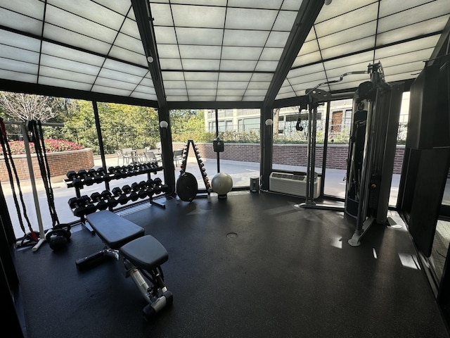 workout area with a wall of windows