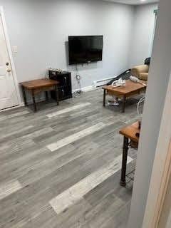 living room featuring hardwood / wood-style floors