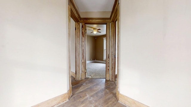 hall with hardwood / wood-style flooring