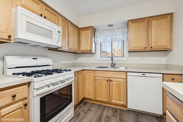 kitchen featuring dark wood finished floors, white appliances, light countertops, and a sink