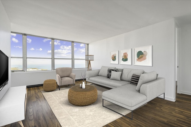 living room featuring dark wood-type flooring and a water view