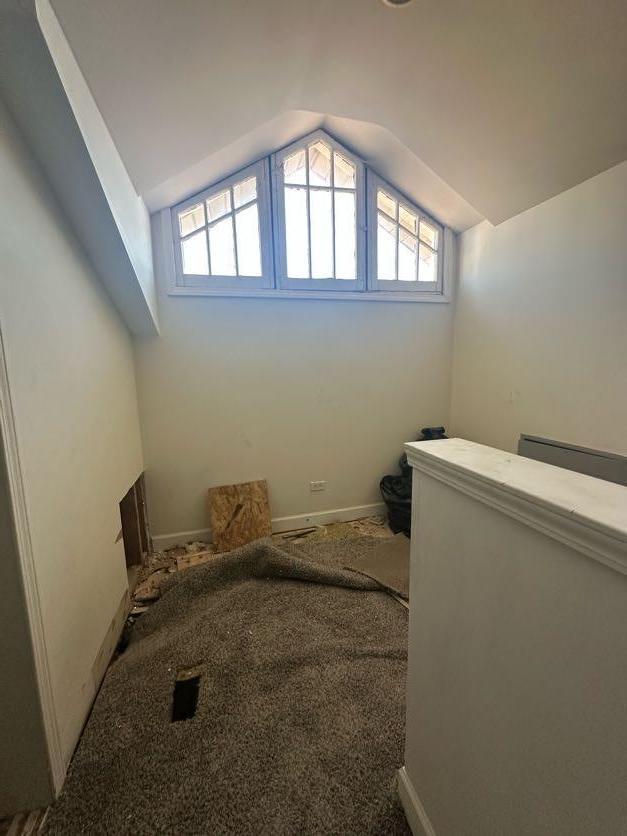 additional living space with lofted ceiling and carpet floors