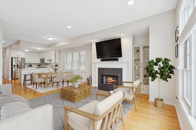 living room featuring light hardwood / wood-style flooring