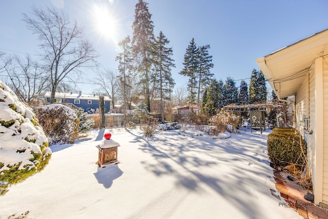 view of yard covered in snow