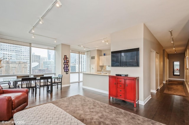 living room with dark wood-type flooring and rail lighting