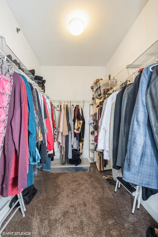 spacious closet with carpet flooring