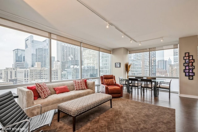 living room with plenty of natural light, dark wood-type flooring, and rail lighting