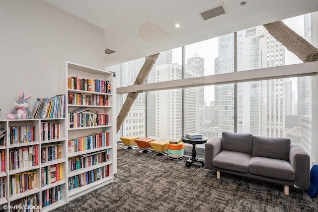 playroom with carpet and a wealth of natural light